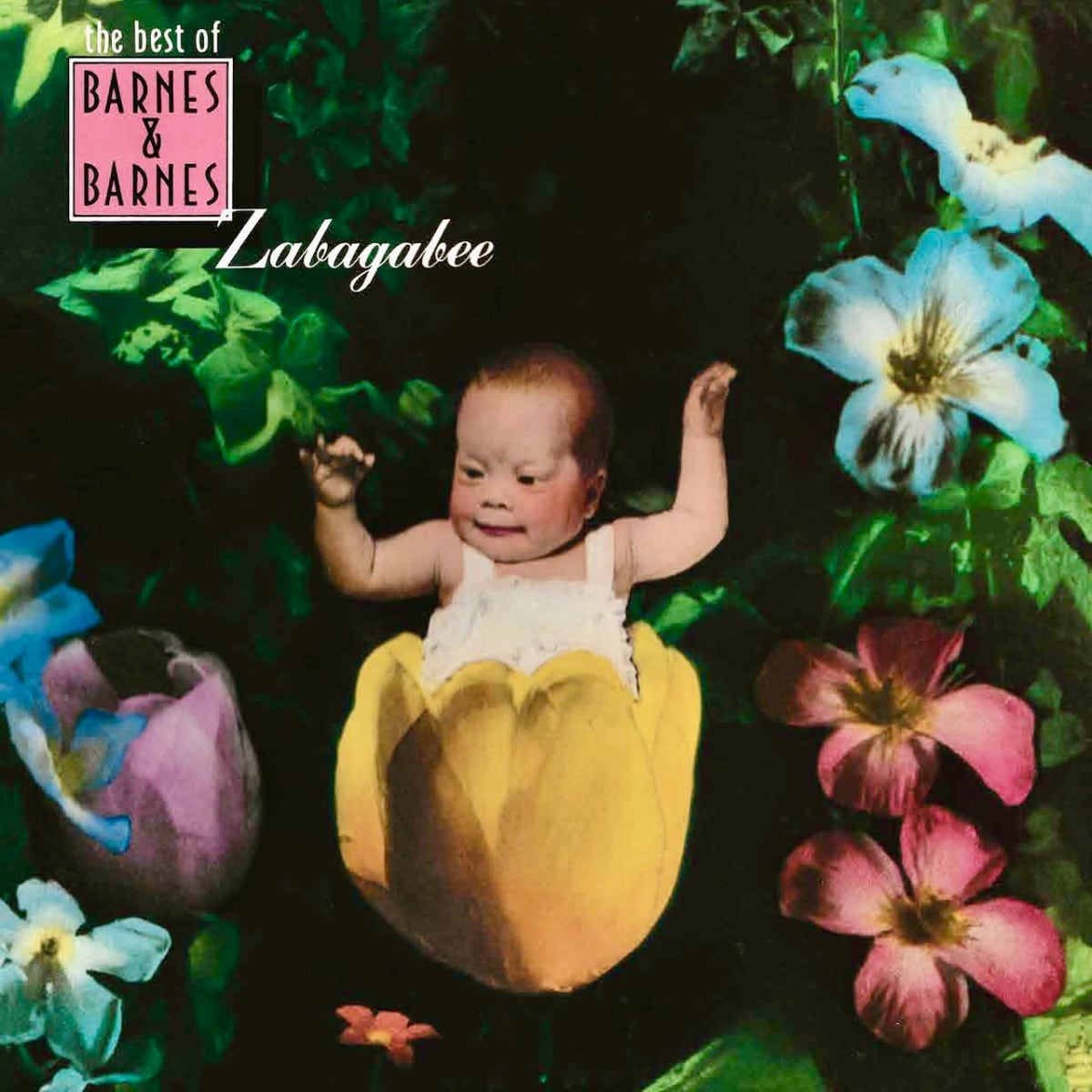 Zabagabee: The Best of Barnes & Barnes Returns June 19—”Fish Heads” and the Lumania Legacy on LP, CD, and DVD for the First Time