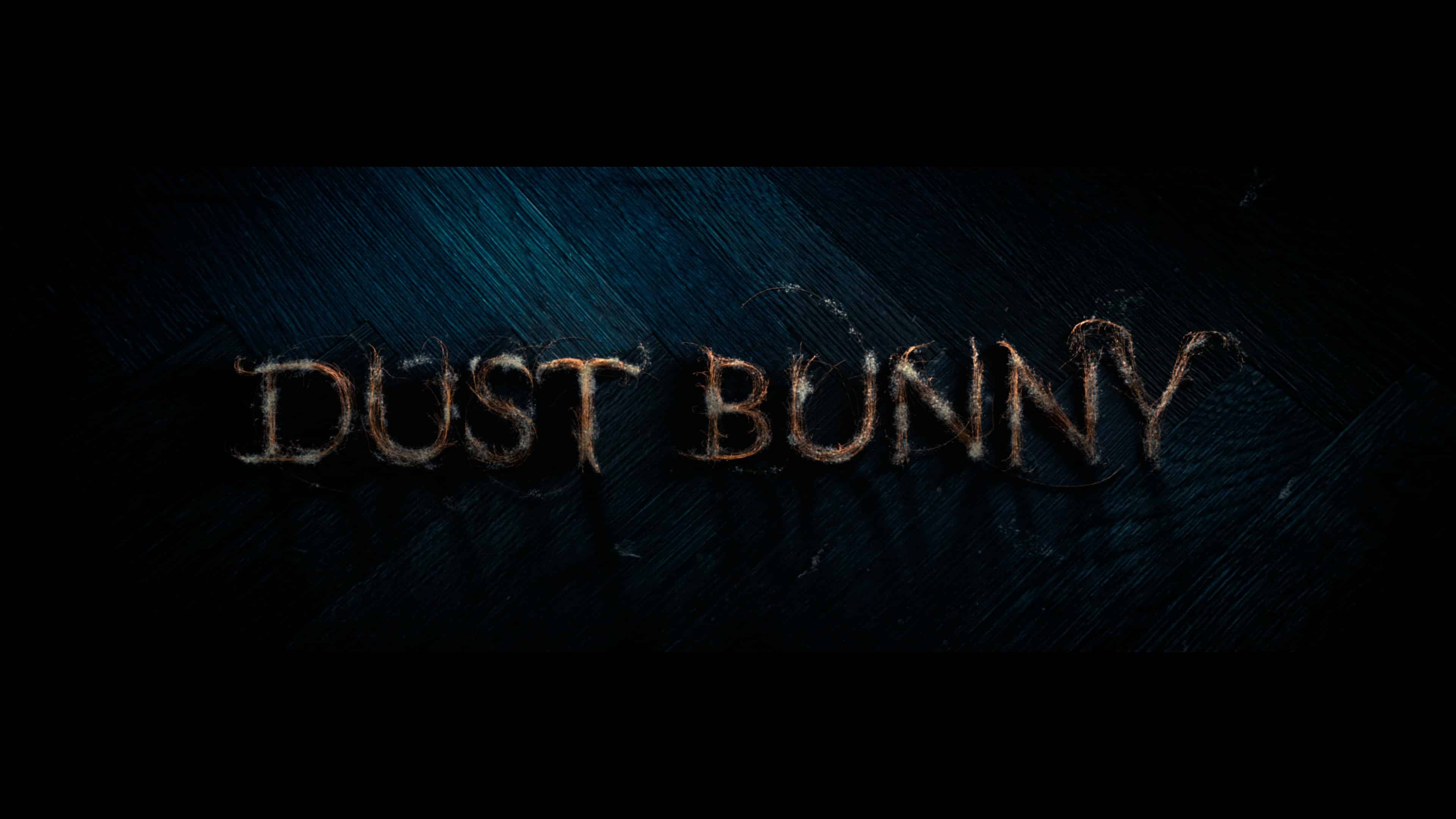 dust bunny 4k uhd