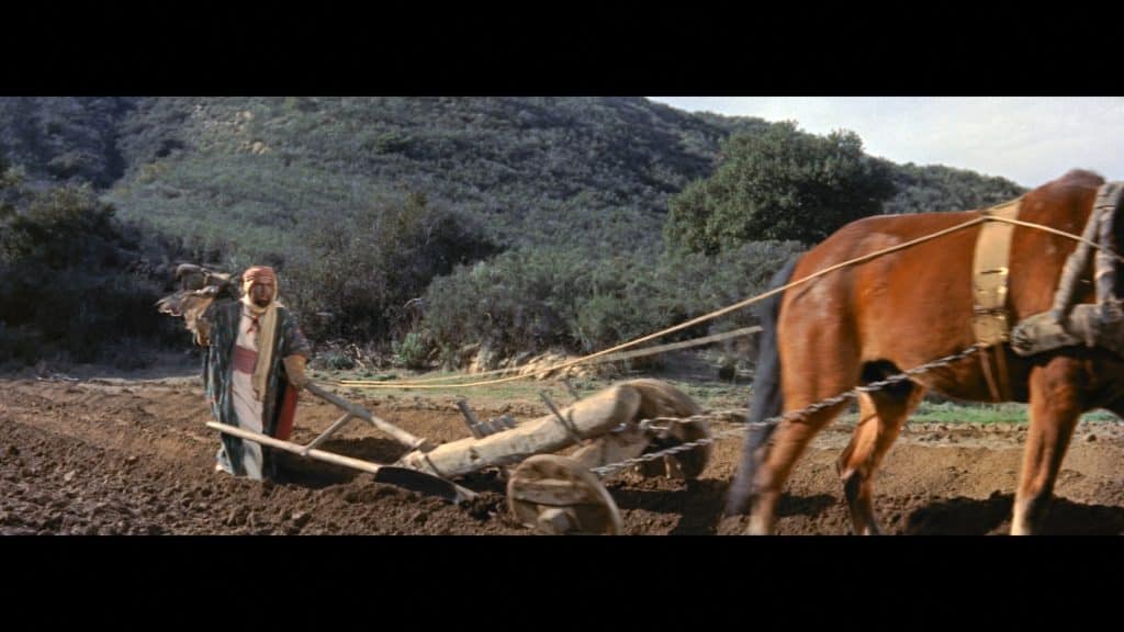 king richard and the crusaders warner archive blu ray