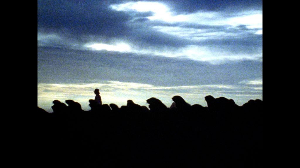 Faces of Death Vinegar Syndrome 4K UHD