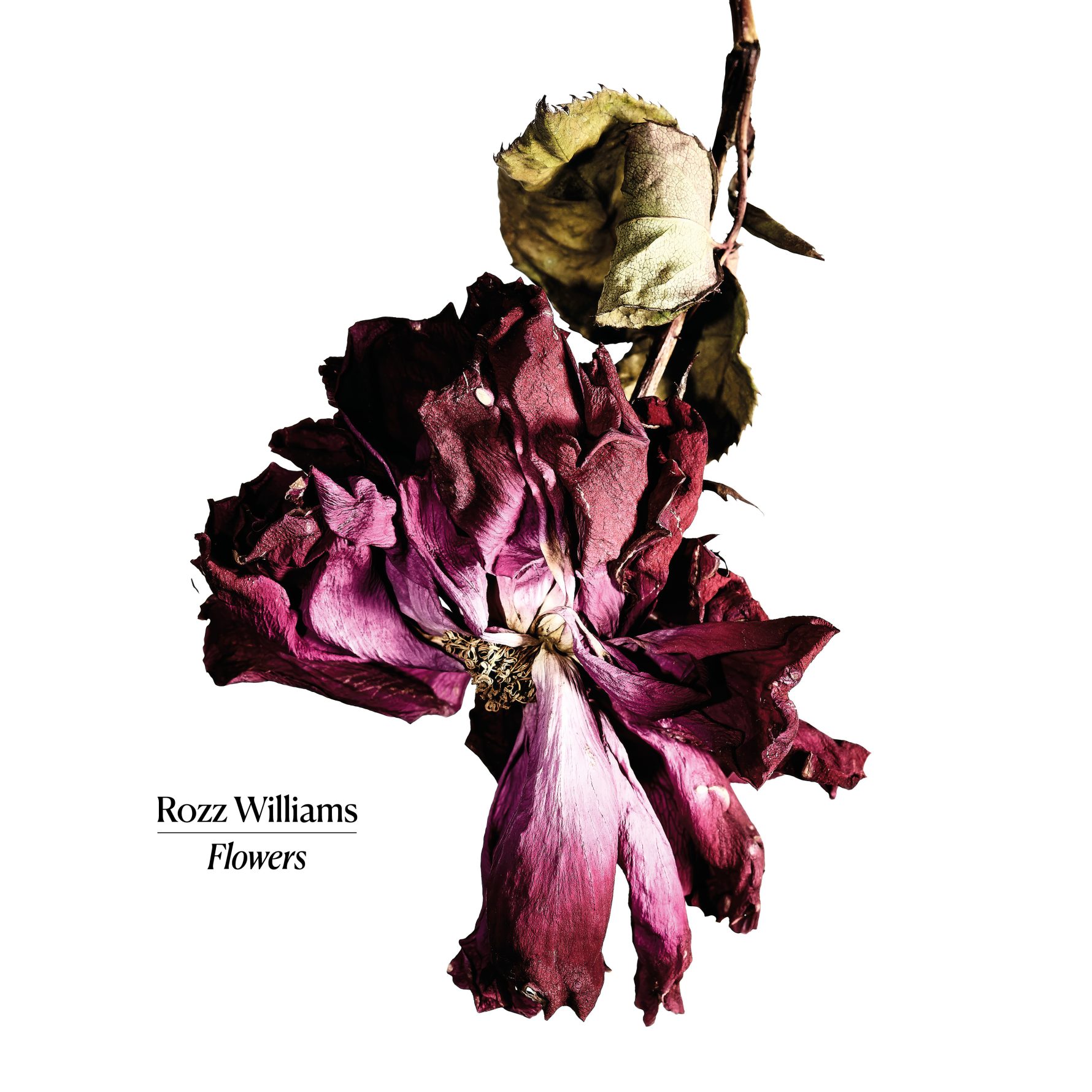 A Voice Restored: Cult Epics Presses Rozz Williams’ “Flowers” as Nico B’s Documentary Arrives