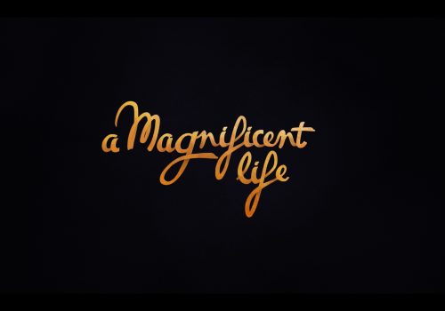 a magnificent life sony blu-ray