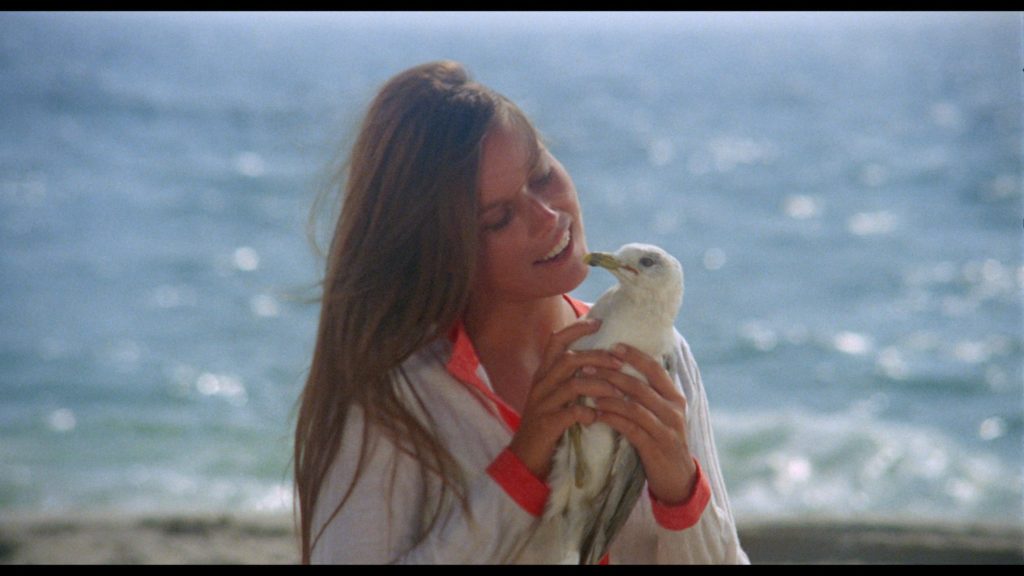 last summer warner archive blu-ray
