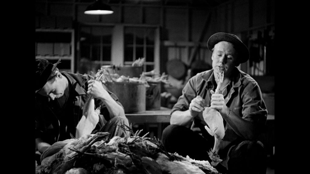 the human comedy warner archive blu-ray
